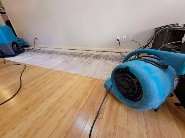 Professional Structural Drying technician working in Bennet, NE